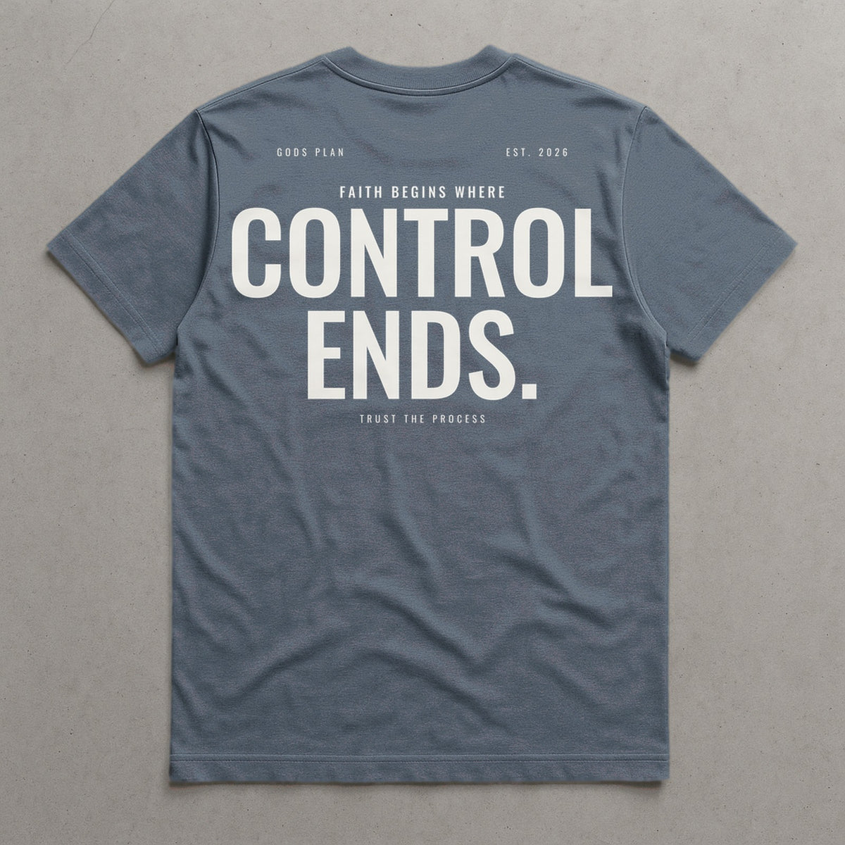Faith Begins Where Control Ends — Tee — Agave, back — GODS PLAN